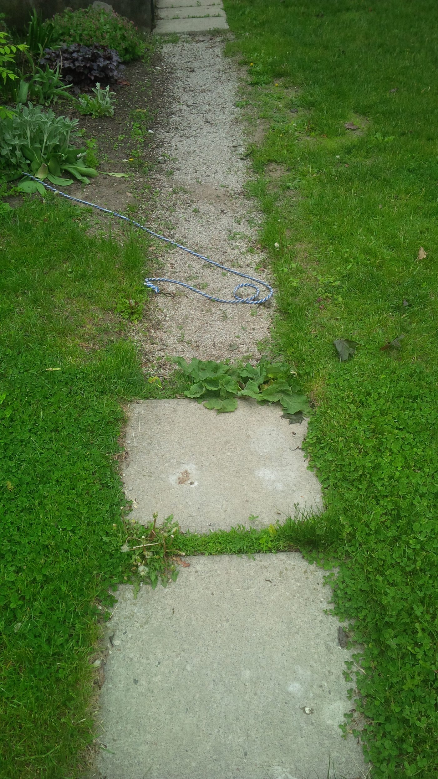 Before & After by Dura Concrete Floors in Orillia and Simcoe County, Ontario, photo 11